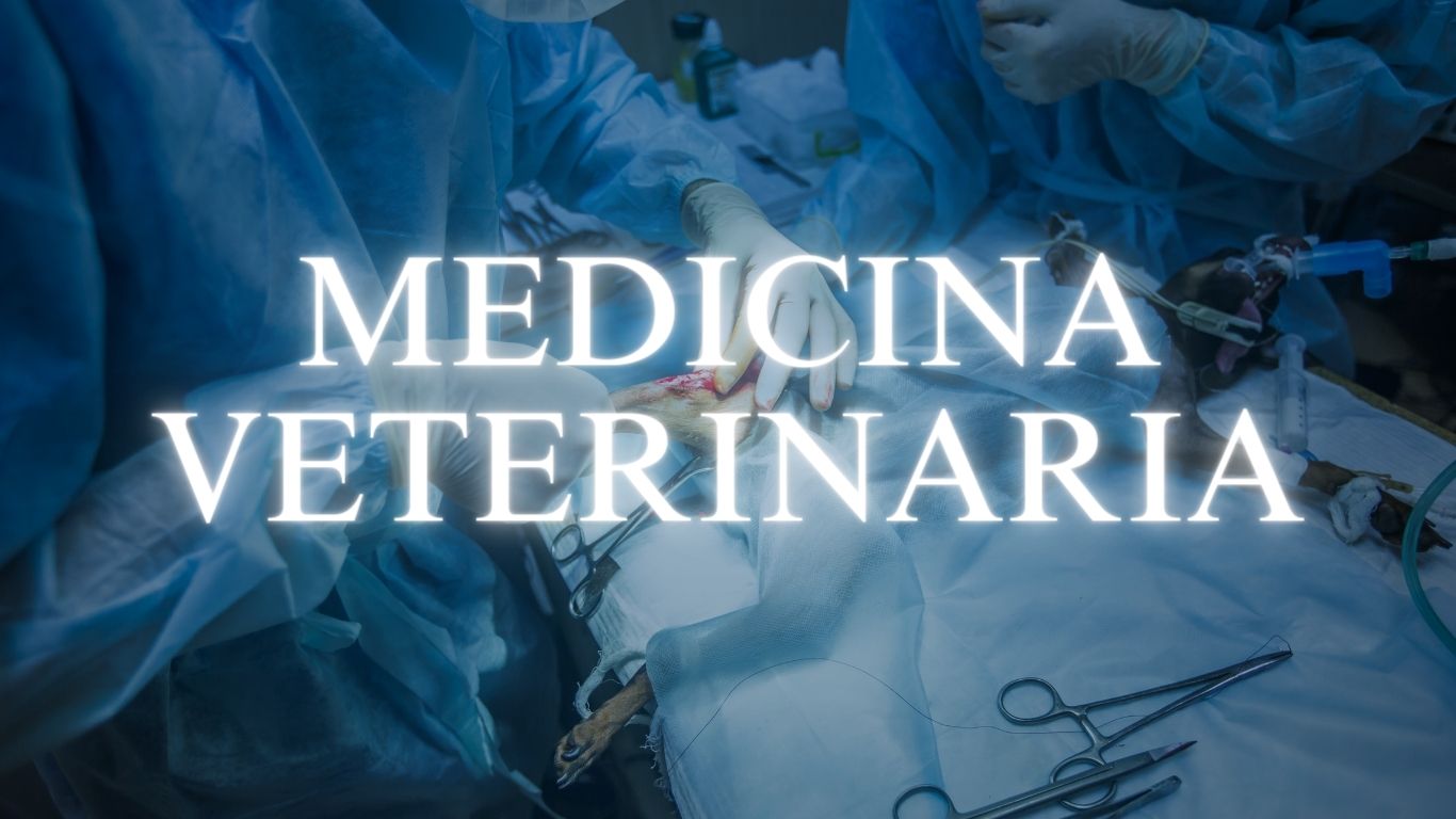 medicina veterinaria